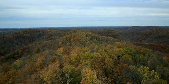 Photo of forested landscape in Kentucky