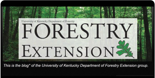 Forestry Extension Blog