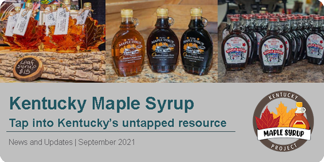 KY maple syrup enews