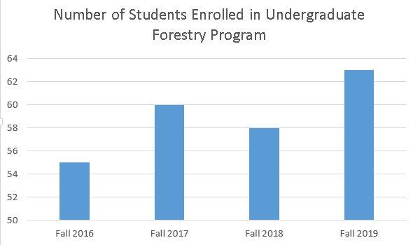 Forestry undergraduate enrollment data (2016-2019)