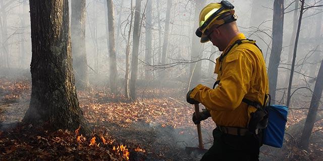 UK Fire Cat working on eastern Kentucky fire
