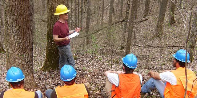 Learn more about the Forestry major at UK