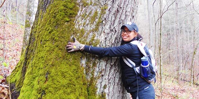 Learn more about reasons to major in forestry.