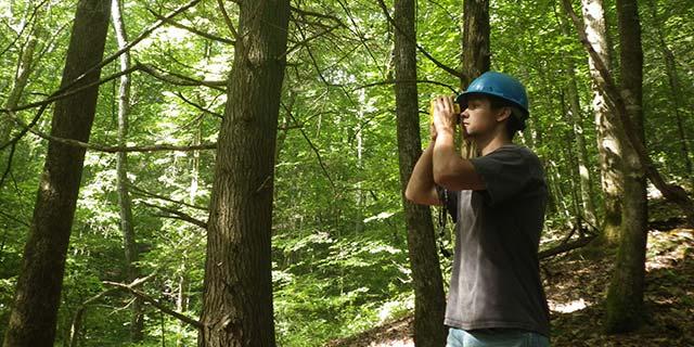 Learn more about the forestry profession.