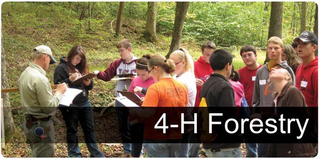 4H Forestry 