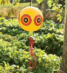 A balloon frightening device.