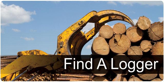 Find a Logger