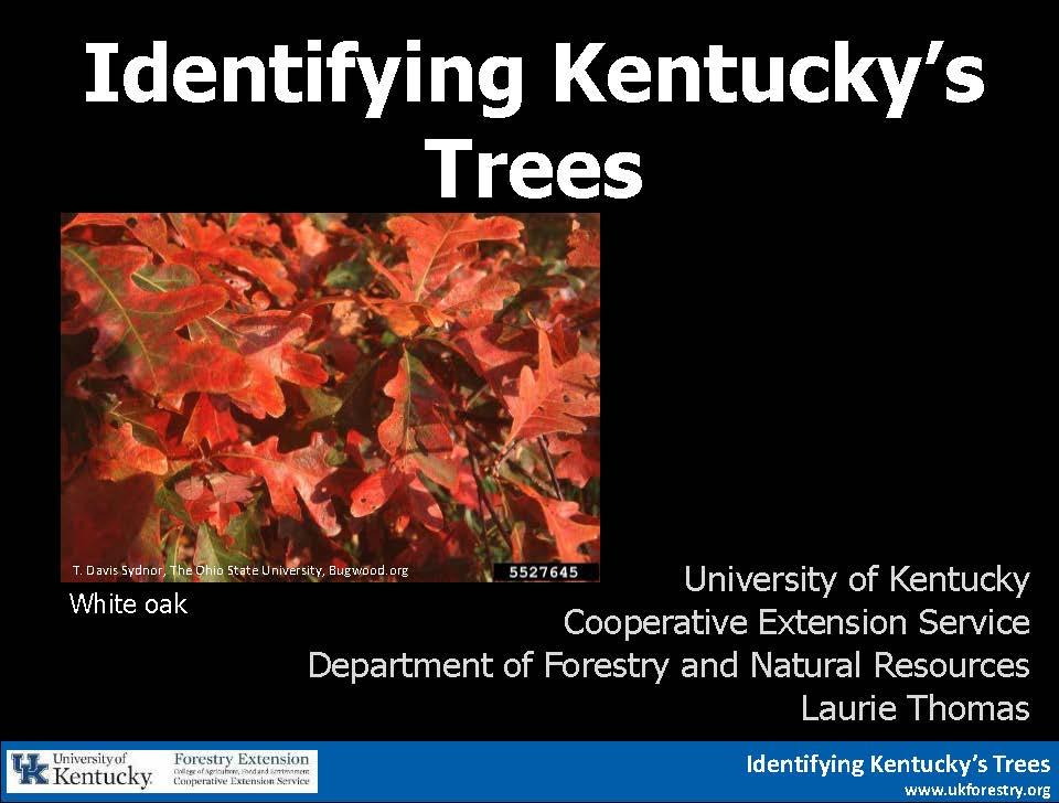 Resources Forestry and Natural Resources
