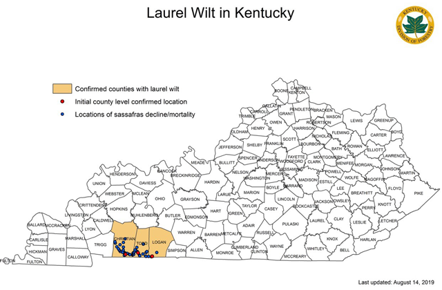 Laurel Wilt | Forestry and Natural Resources