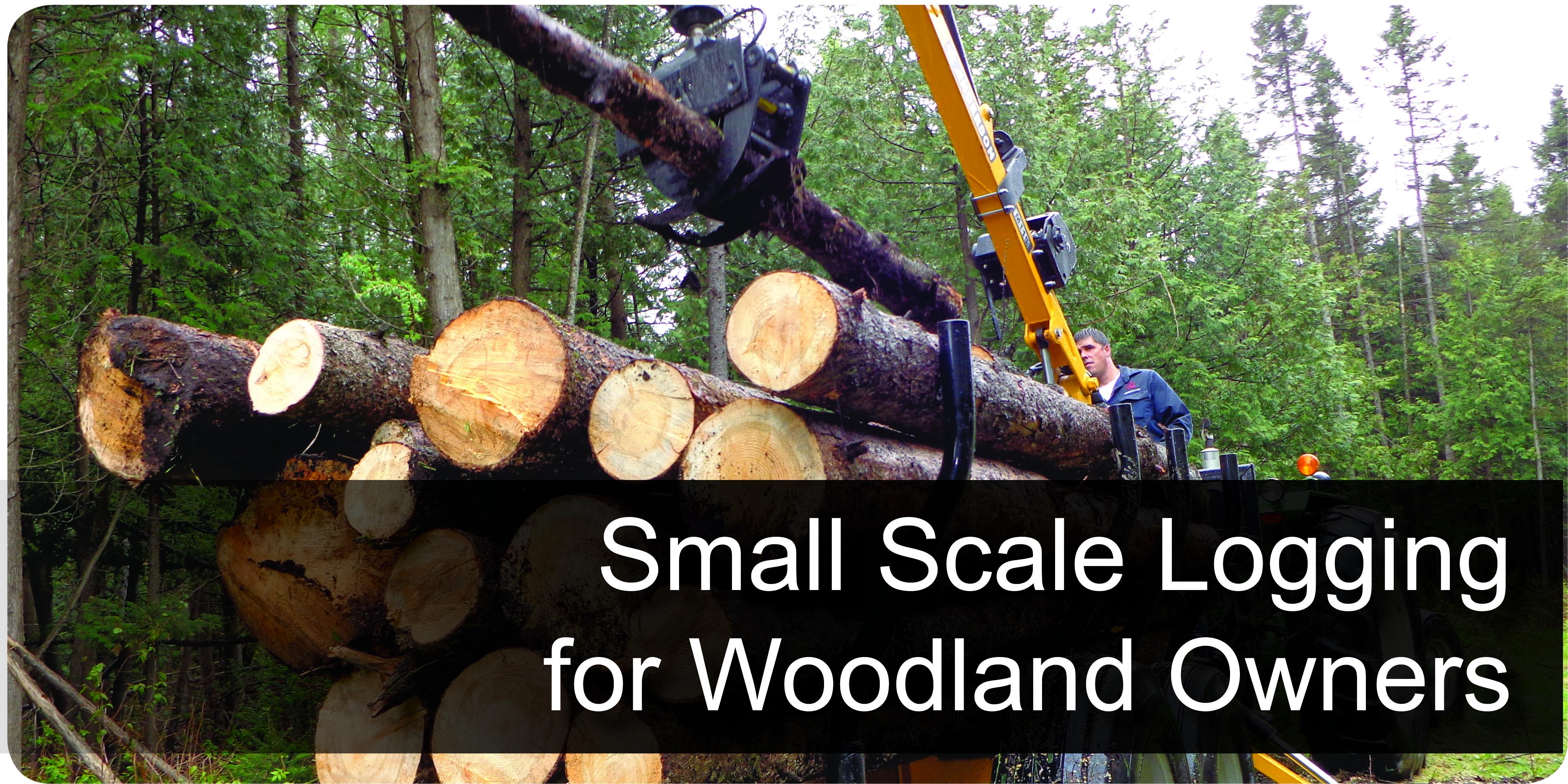Small Scale Logging