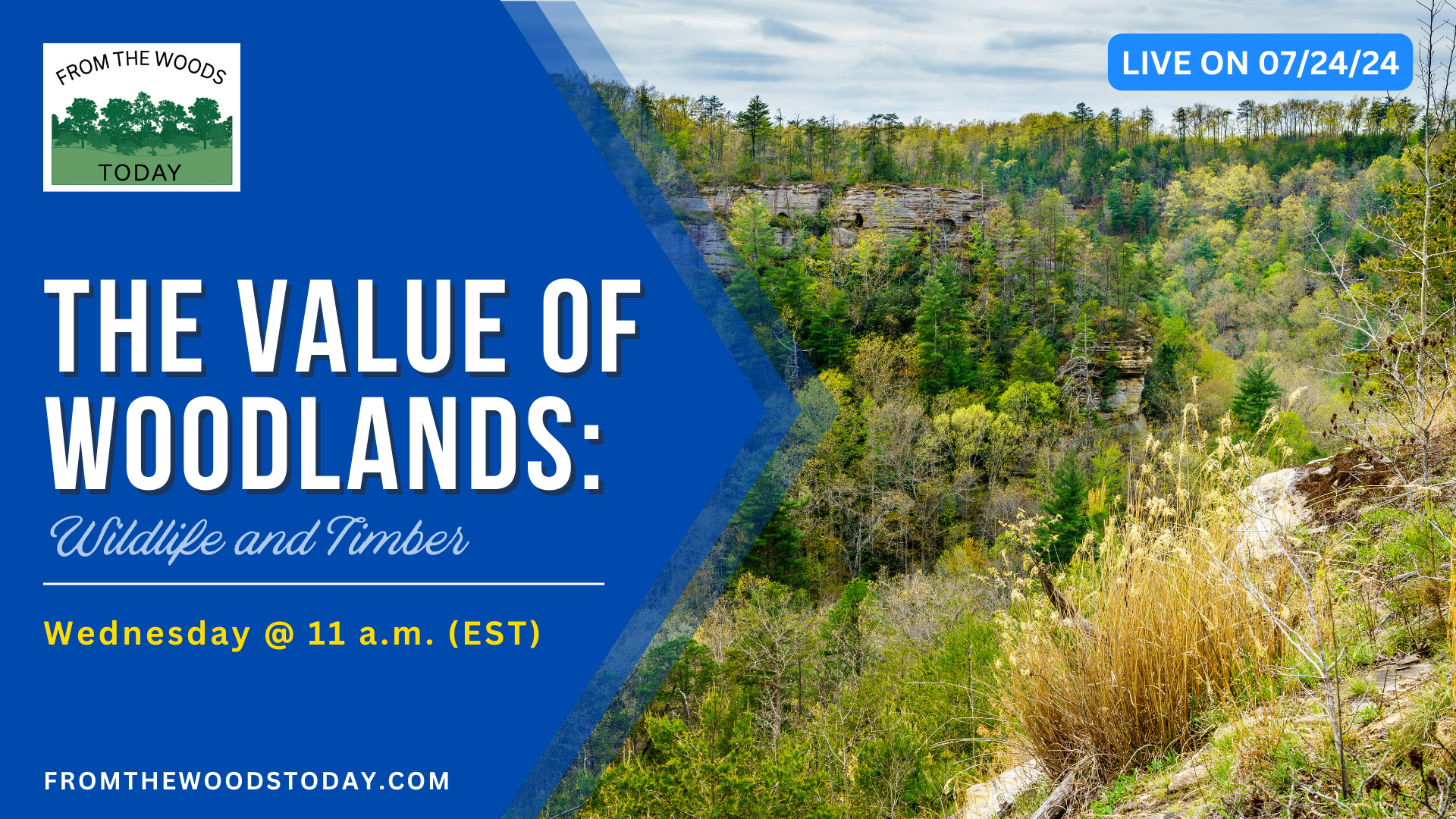 Value of Woodlands