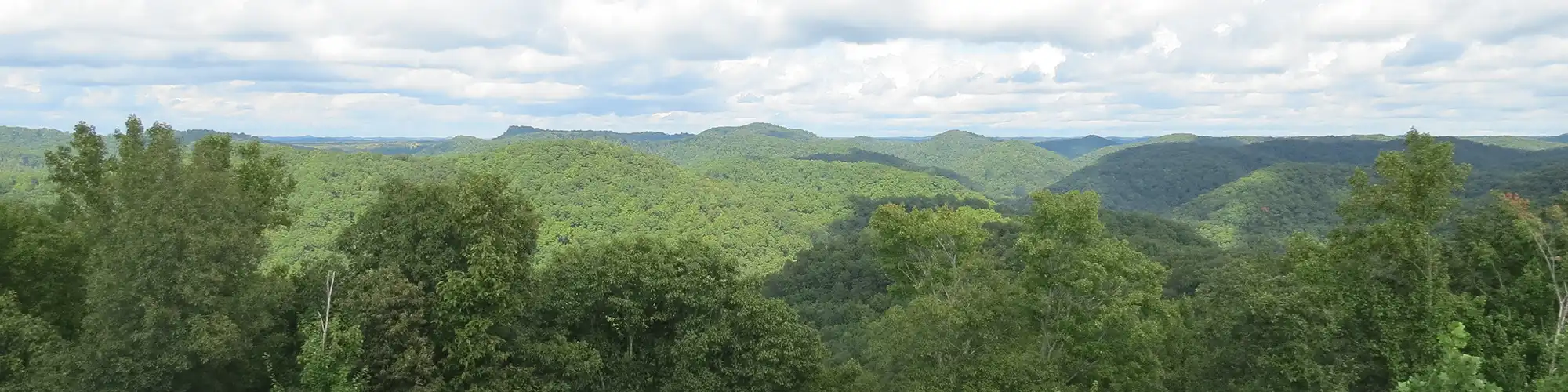 Photo of the view from the fire tower at Robinson Forest