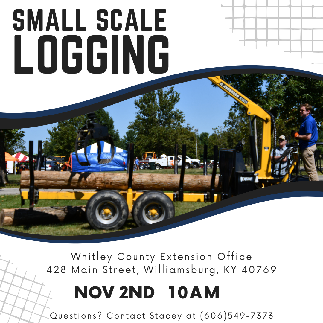 Small Scale Logging