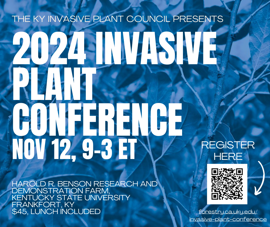 Invasive Plants