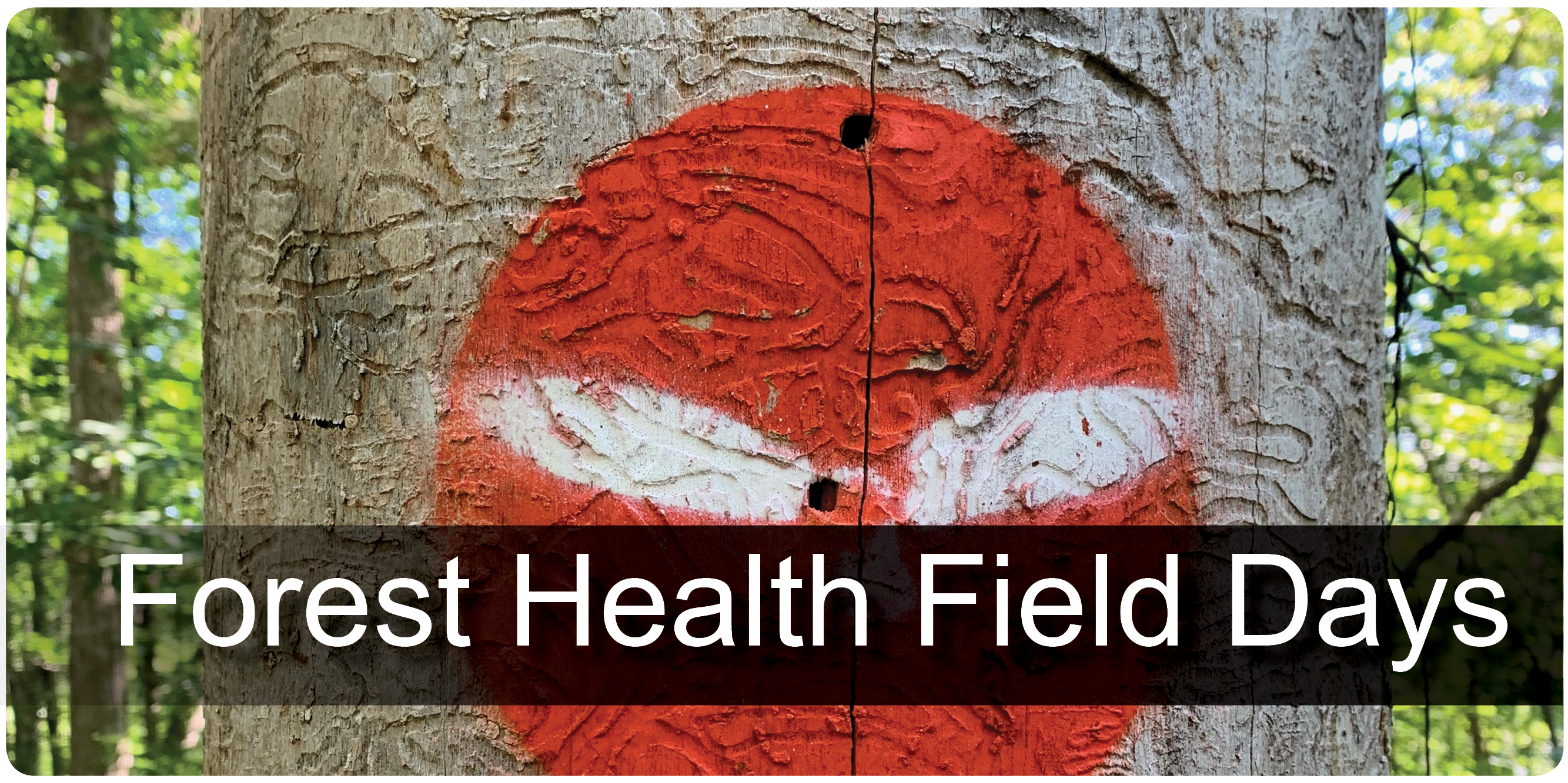 Forest Health Field Day