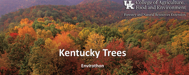  Kentucky Trees for Envirothon 2024