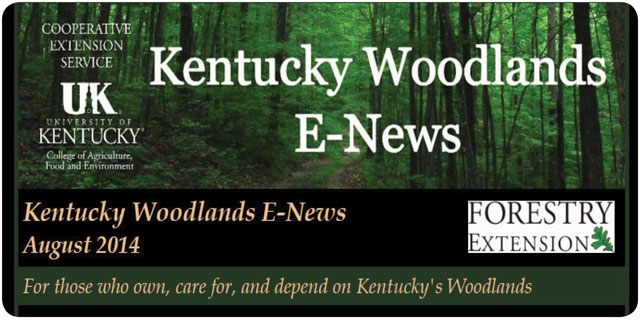 Kentucky Woodlands Newsletter