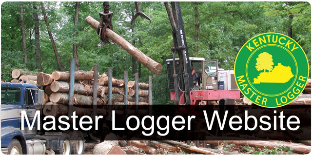 Logger Website