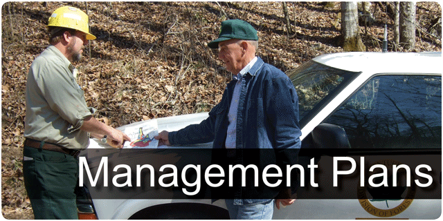 Management Plans