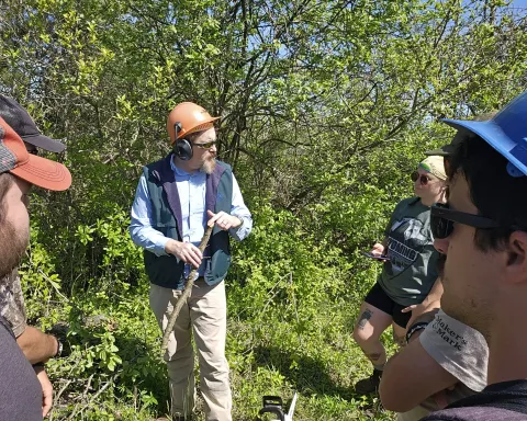 Photo of Spring Field Semester