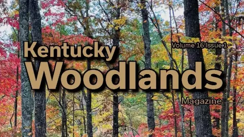 Image of the Kentucky Woodlands Magazine