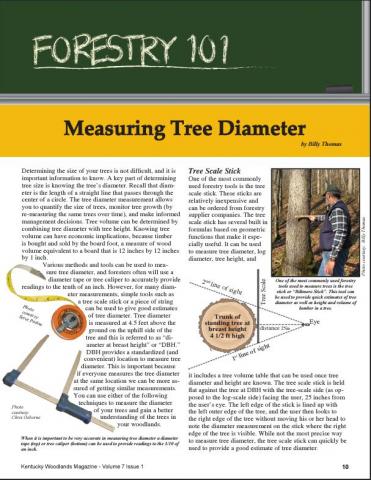 Forestry 101: Measuring Tee Diameter
