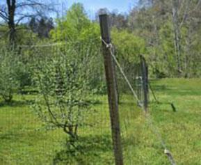 8-foot fence