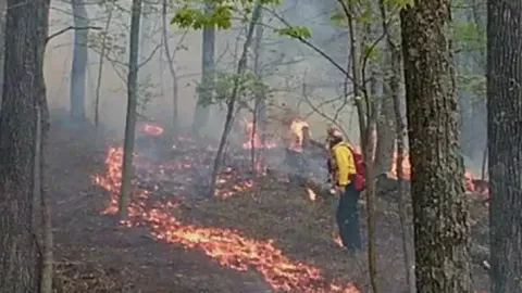 Photo of fire research