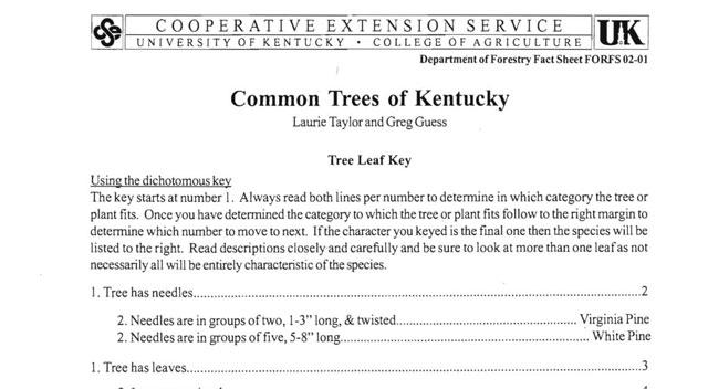 common-ky-trees-forestry-and-natural-resources