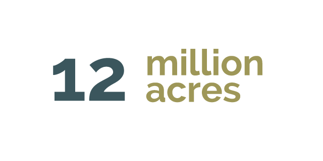 Twelve million acres, 47 percent of Kentucky’s 25,425,904 acres, are covered in forest.