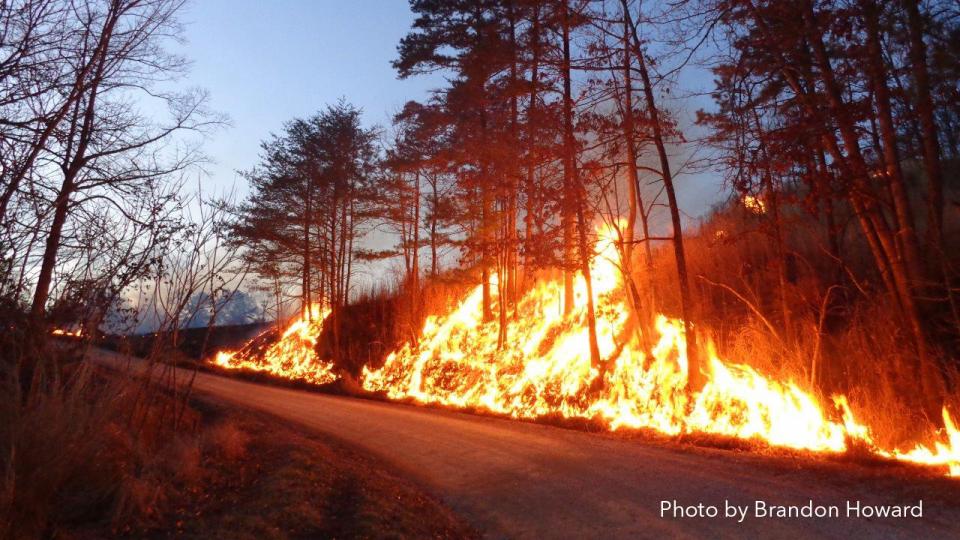 Photo of Knox County Wildfire (photo by Brandon Howard)