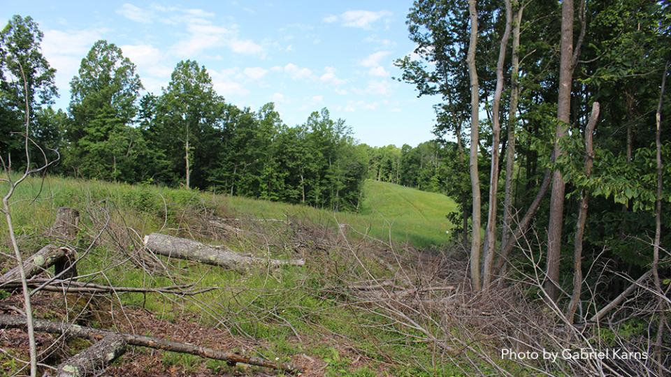 Rights-of-way photo by Gabriel Karns Rights-of-way photo by Gabriel Karns