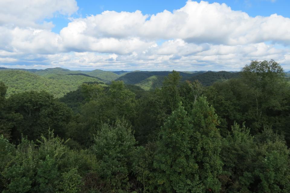 Robinson Forest - View from the Fire Tower Robinson Forest - View from the Fire Tower