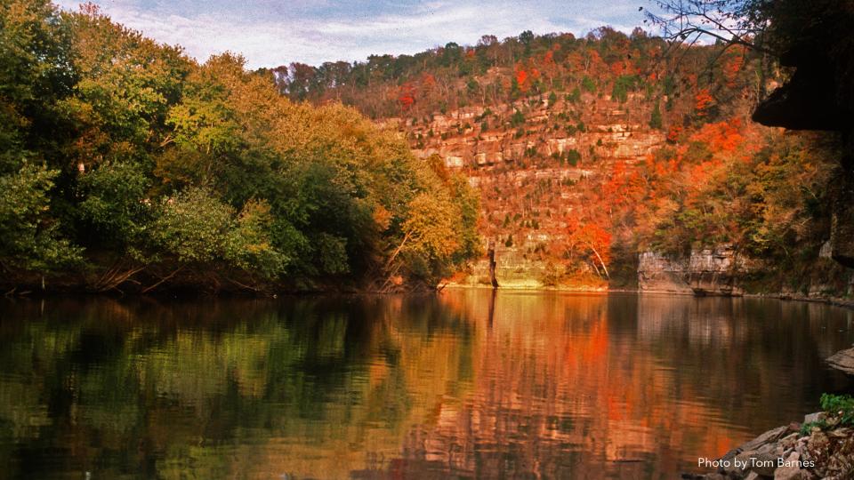 Tom Dorman State Nature Preserve - Garrard County - photo by Thomas Barnes Tom Dorman State Nature Preserve - Garrard County - photo by Thomas Barnes