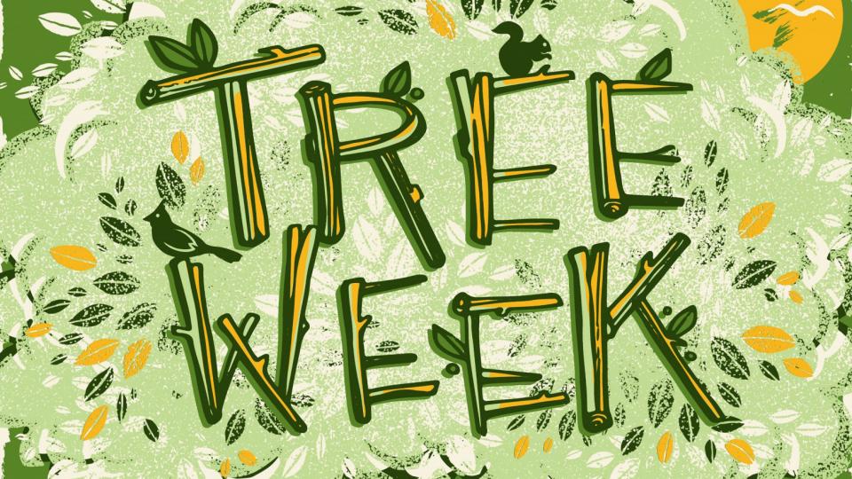 Tree Week 2019 Tree Week 2019