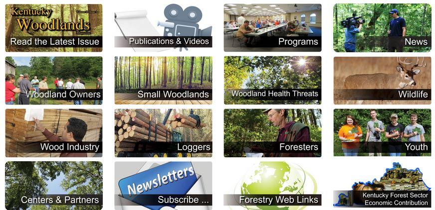 Photo of Forestry Extension Website Photo of Forestry Extension Website